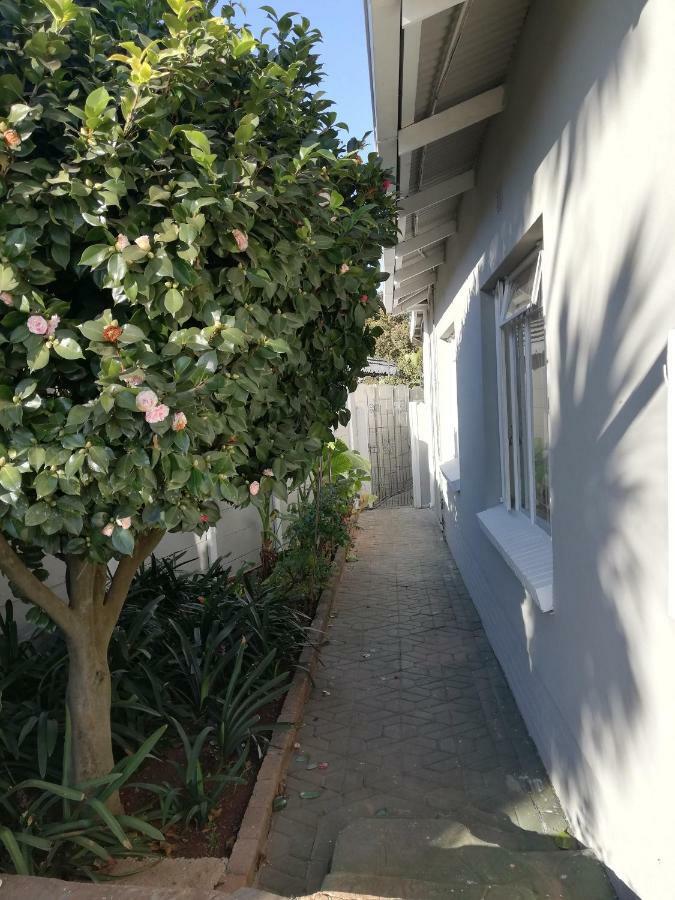 Willow Guest House Boksburg Eksteriør bilde